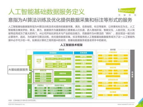 中國人工智能基礎數據服務與行業(yè)應用集成服務雙輪驅動產業(yè)發(fā)展報告