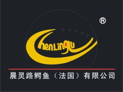 桐鄉市博通商標代理旗下網站 商標代理的專業服務平臺解析